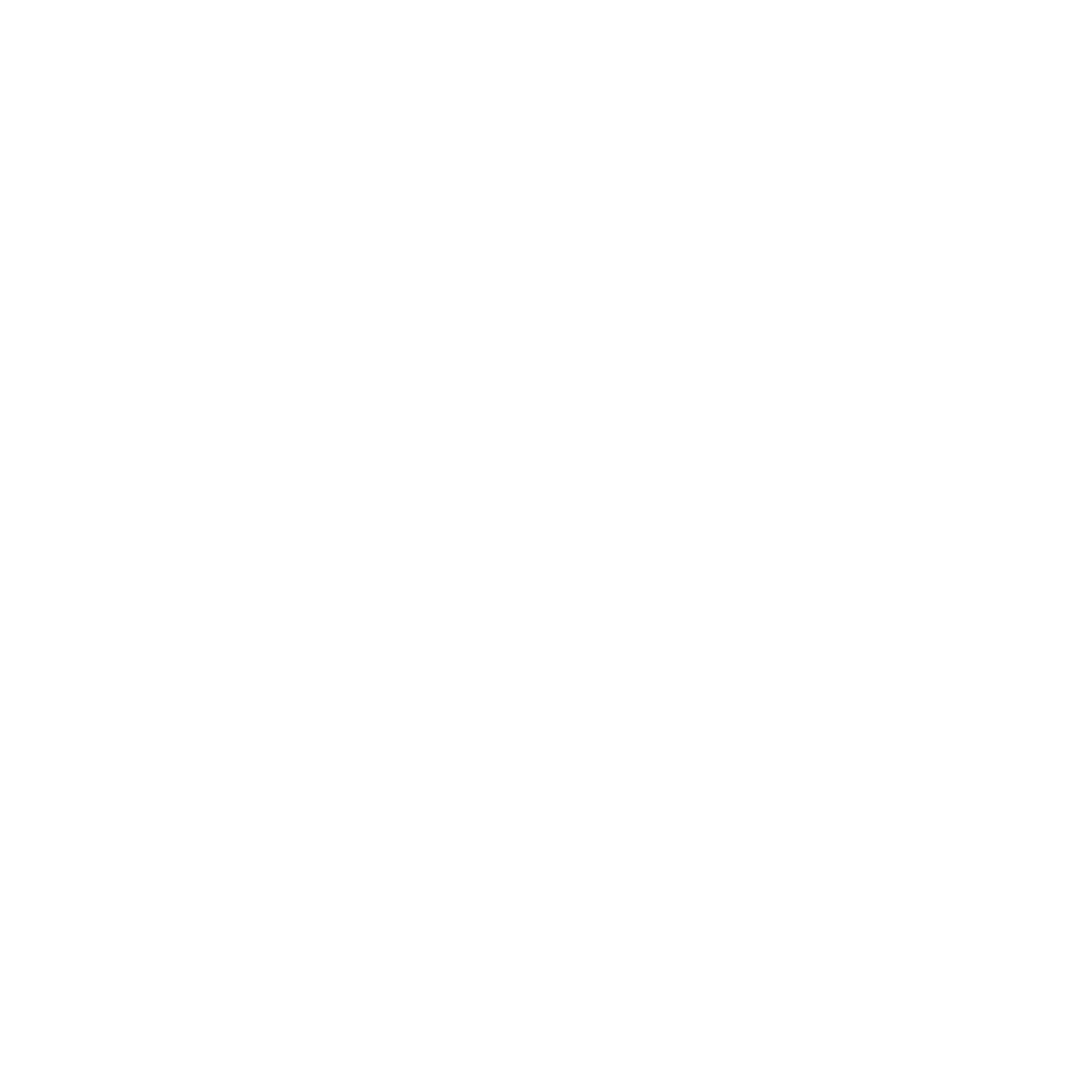 v-mss
